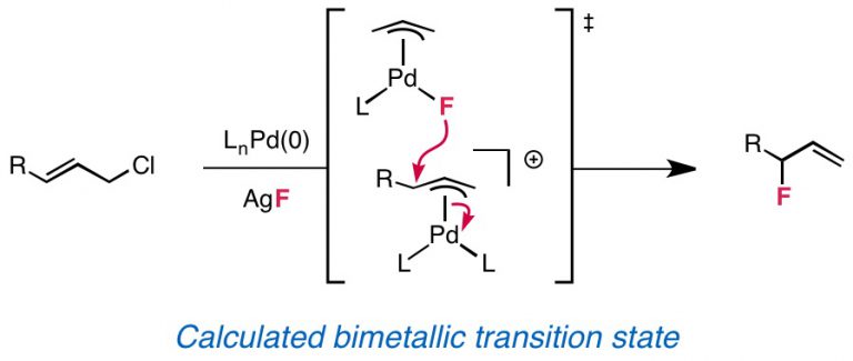 Mechanistic Investigations of Palladium-Catalyzed Allylic Fluorination