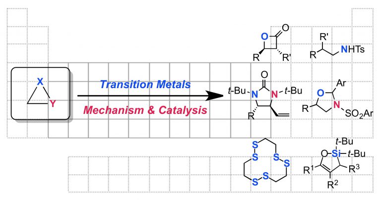 The Chemistry of Transition Metals with Three-Membered Ring Heterocycles
