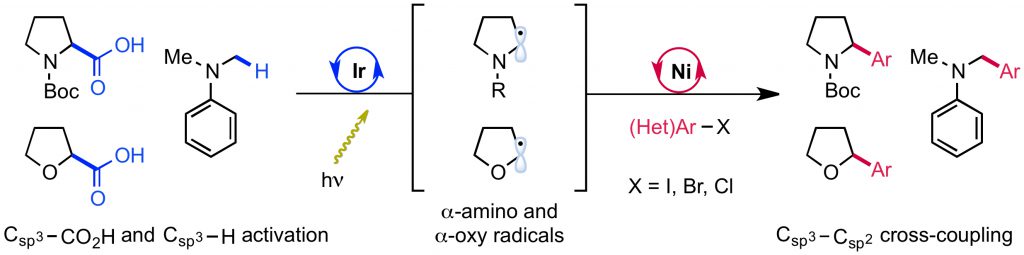 Merging photoredox with nickel catalysis: Coupling of α-carboxyl sp3-carbons with aryl halides