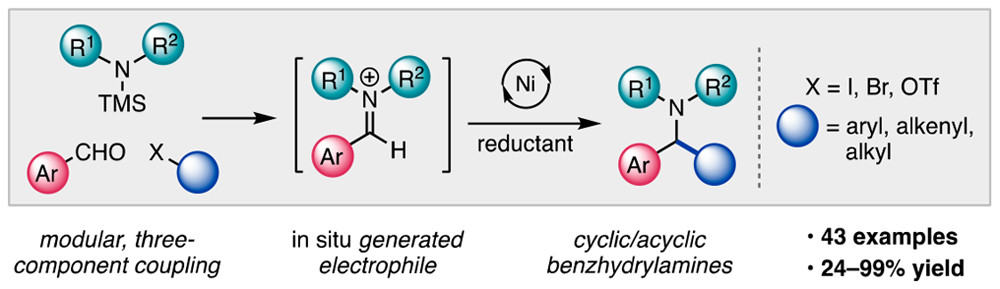 Ni-Catalyzed Carbon-Carbon Bond-Forming Reductive Amination