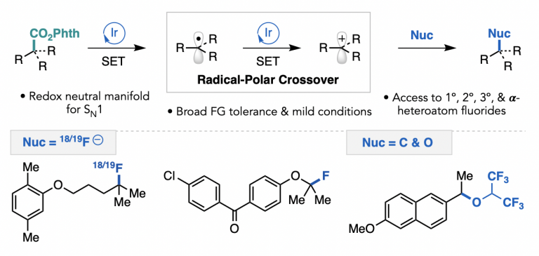 Nucleophilic (Radio)Fluorination of Redox-Active Esters via Radical-Polar Crossover Enabled by Photoredox Catalysis